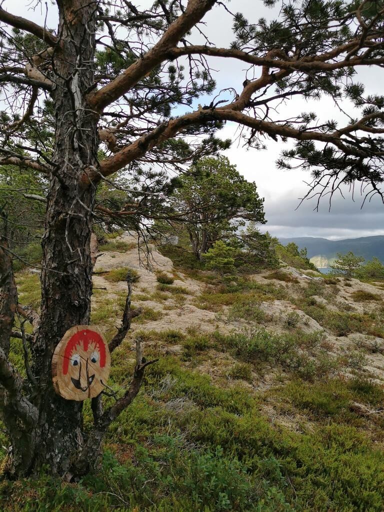 På turen til Gammin ved Vasslian er det «gjemt» 10 trollansikt. Ansiktene er malt av elever ved Gravvik oppvekstsenter.