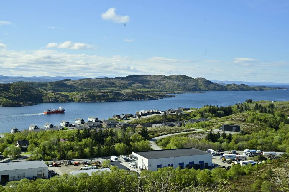 Sjøhaugen i Rørvik skal få lekeområde.
 Foto: Synnøve Hanssen