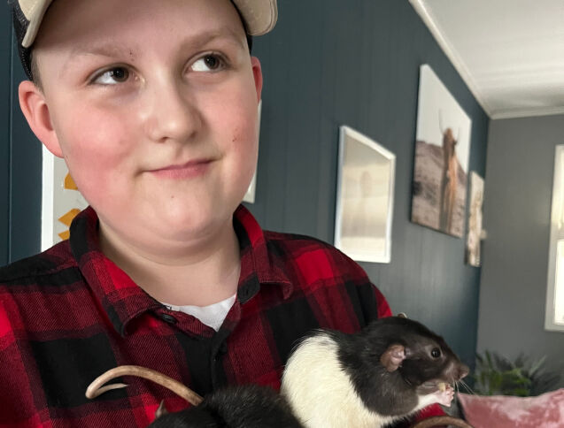 Min beste venn er en rotte
