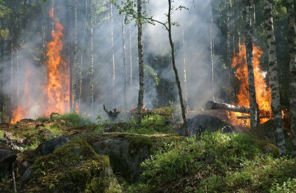 Skogbrannfare frem til mandag