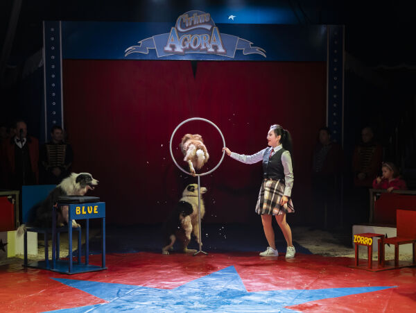 Cirkus Agora vender tilbake til Ottersøya