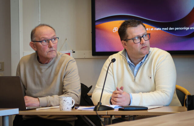 Flere viktige saker til behandling