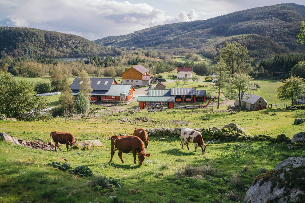 Ståle Hustofts gårdsbruk.
 Foto: Torstein Kiserud.