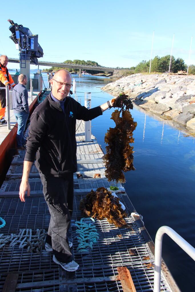 Halvor Mortensen var Val FoU har stor tro på taredyrking som næringsvei i ytterdistriktet.