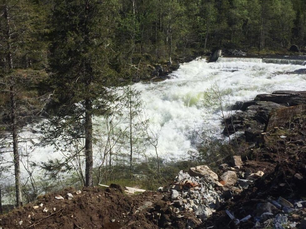 Ungdom i Bindal og Leka inviteres til fine dager for å bedre kjent med naturen.