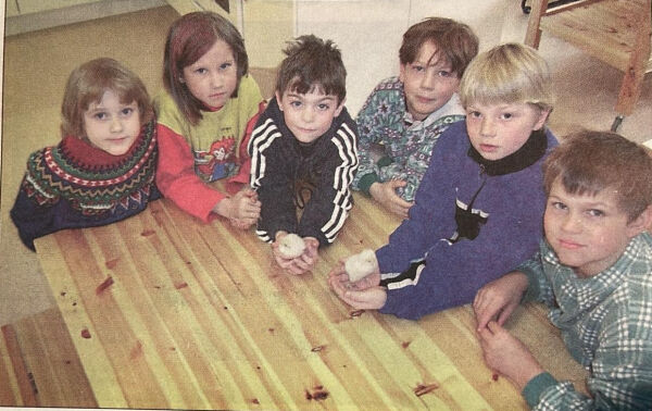 Klekket ut kyllinger på skolen