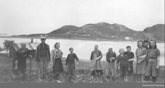 Potetopptaking på Bakkan, Eidshaug i 1945. Vi mangler navn på personene.
 Foto: Inngår i samlingen til Kystmuseet i Nord-Trøndelag