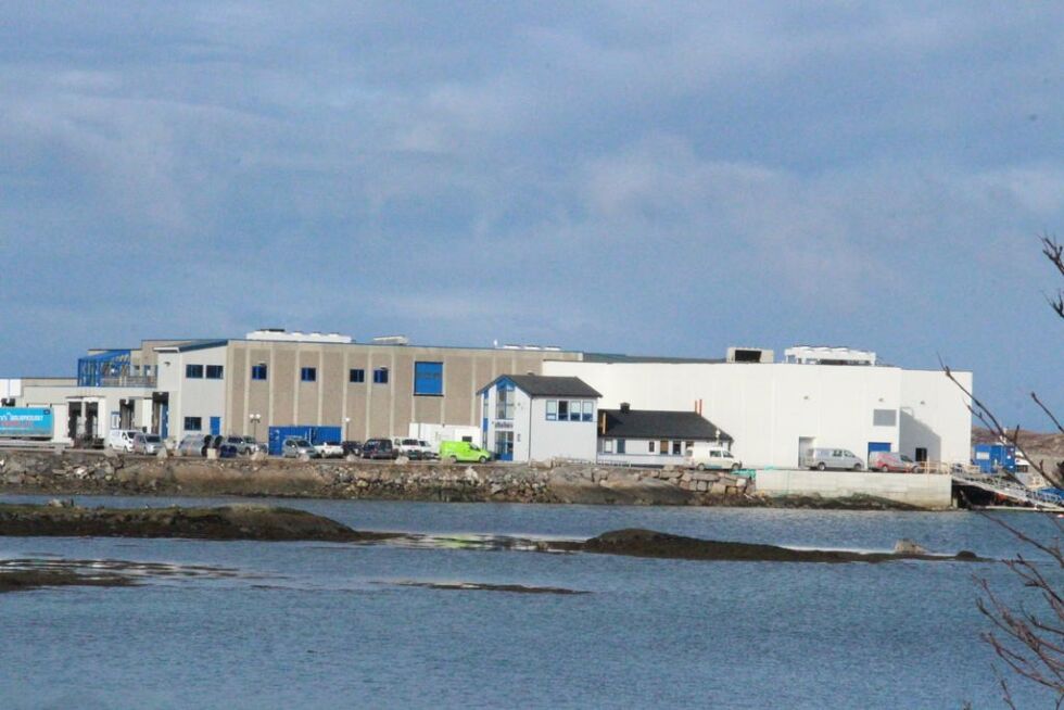 Det hvite bygget til høyre utgjør det nye bløggeriet.