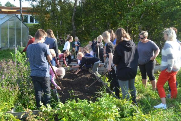 Nærøysund skole stiller med kortreiste grønnsaker fra egen skolehage