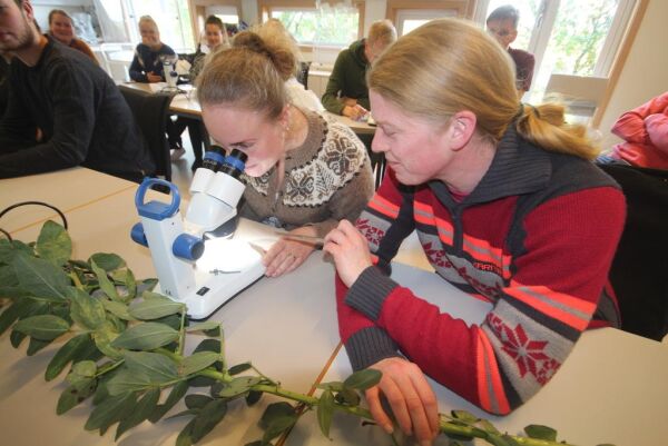 Ny klasse med voksne skoleelever