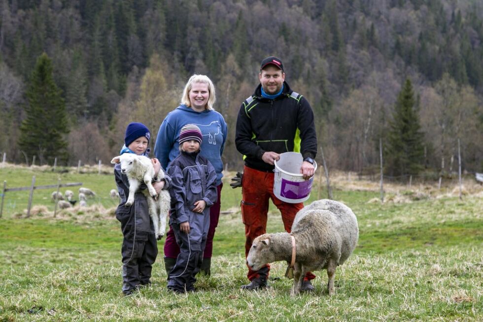 Familien Sevaldsen-Bekkavik stortrives på Bekkavik gård. Fra venste Torstein (8), Othelie (7), Karina og Arnstein.