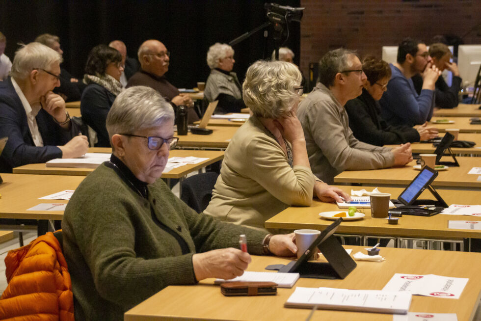 48,6 prosent av lokalpolitikerne i Nærøysund gir seg i lokalpolitikken i 2023.
 Foto: Lillian Lyngstad