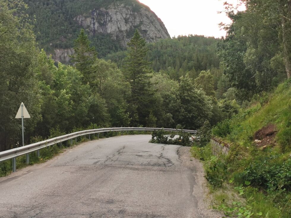 Hans har trent bra i natt. Her fra Gravviklia rett nord for Naustbukta.
 Foto: Andreas Gatare Øvergård