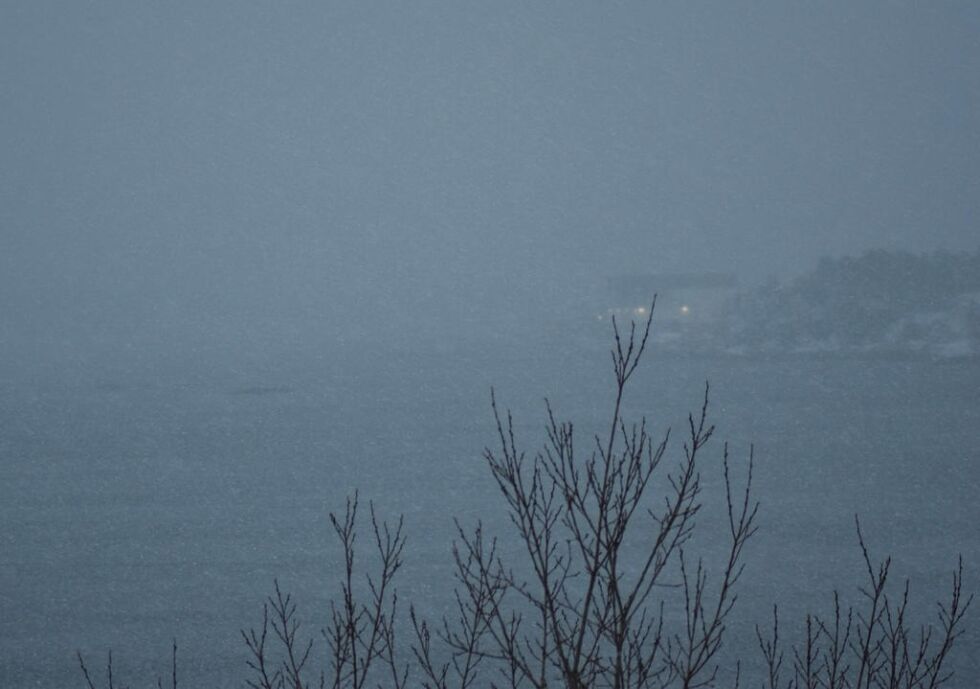 Tett snødrev over Nærøysundet i dag.