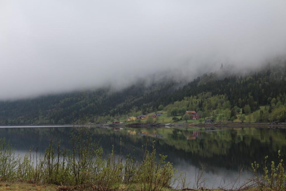 Tåka lå lavt over Alslia i Bindal nå i morgentimene på 16. mai.