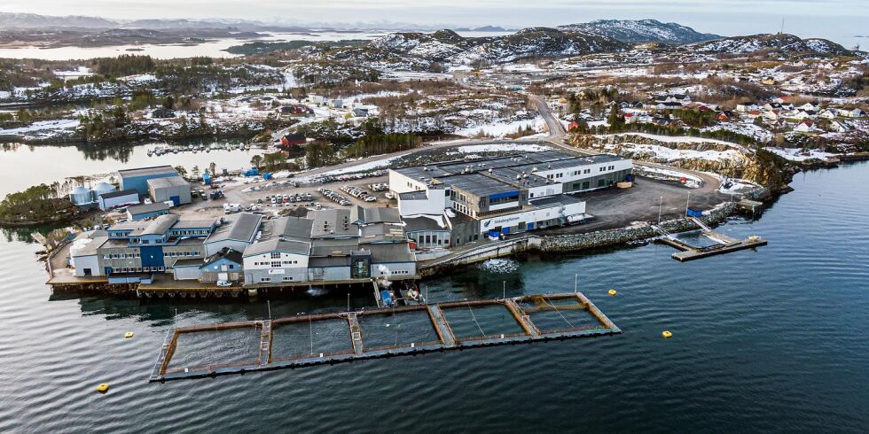 SinkabergHansens anlegg på Marøya huser de nye forkningslokalitetene til BioTA.