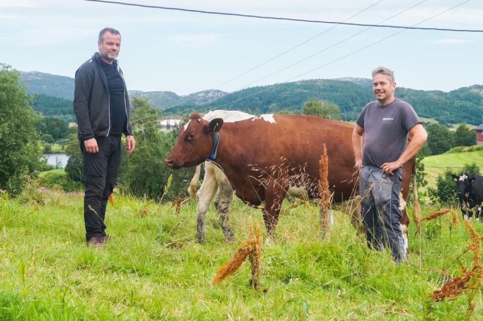 Espen Lauritzen og Gunnar Eirik Volden mener forslaget til ny veterinærvaktsordning kan få katastrofale følger for Litago og hennes artsfrenders velferd, om det blir vedtatt slik det foreligger i dag.