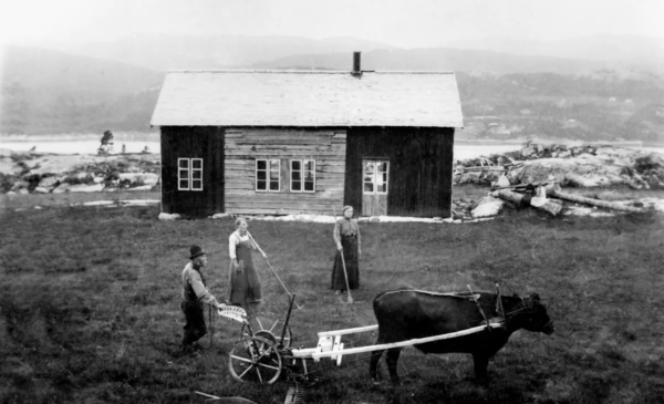Arbeid på småbruket i Kreklingan