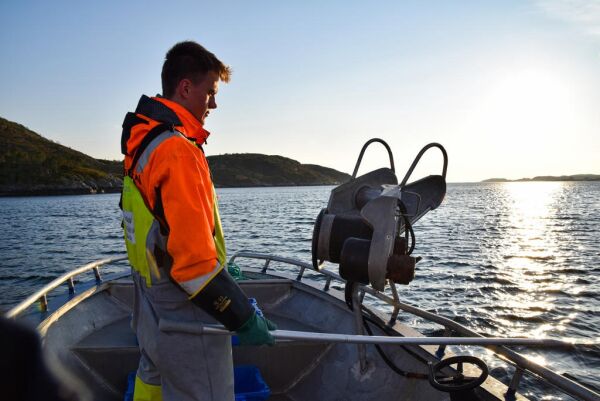Krabber gir arbeid til lokale ungdommer med arbeidslyst