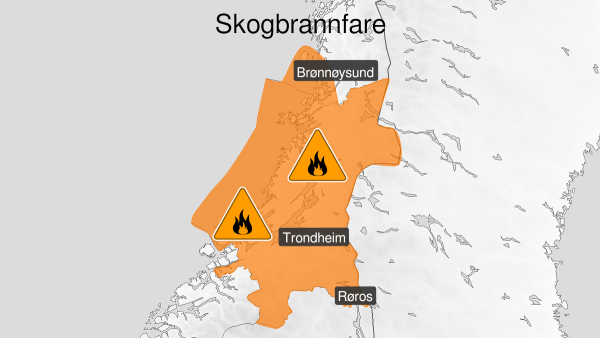 Advarer mot stor skogbrannfare