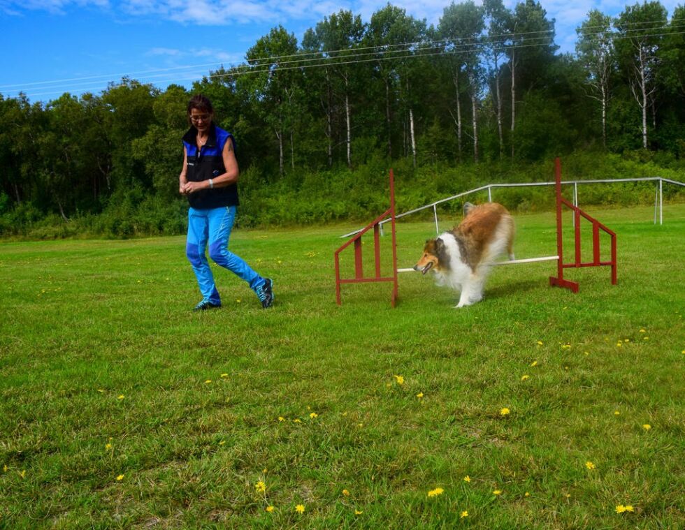 Wenche Jenny Marø Røsseth og hunden Lissy i farta.