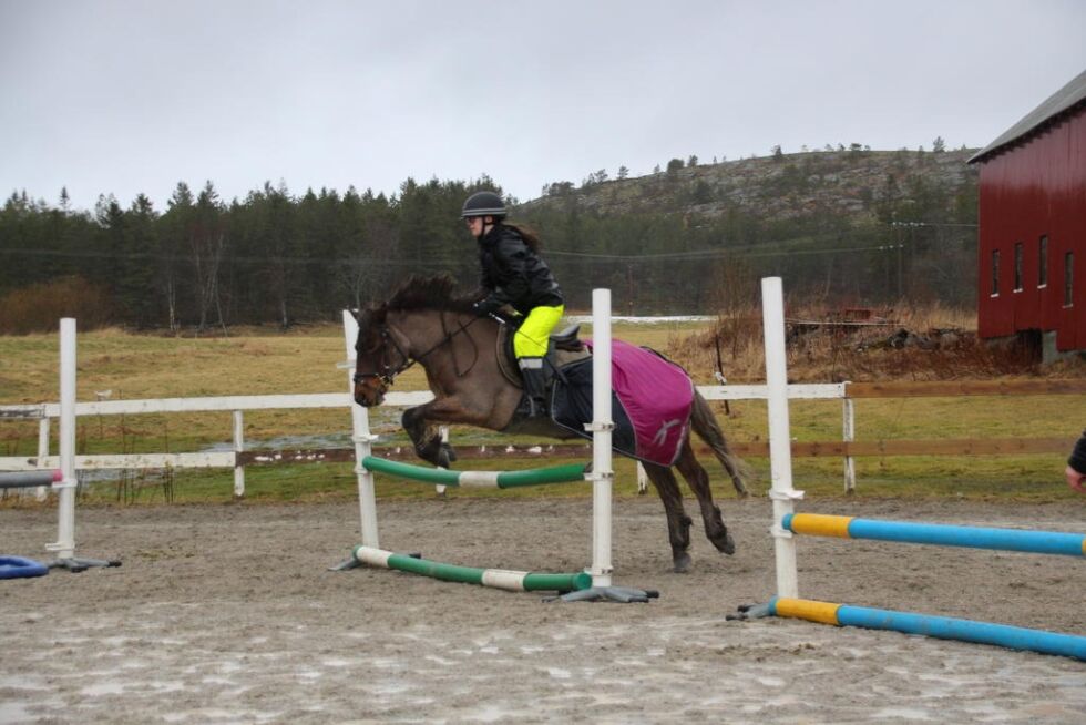 Kristin og hennes hest hopper høye hindre.