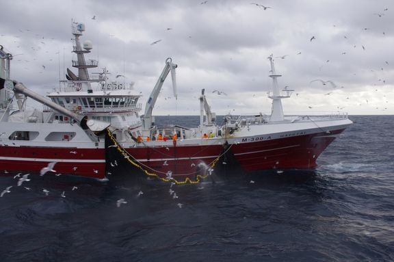 Havstål med loddekast i Barentshavet.
 Foto: Olav Endre Drønen/Norges Sildesalgslag