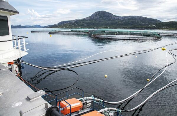 Setter fokus på havplast