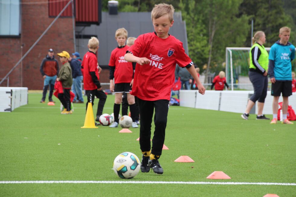 Foto: Lillian Lyngstad