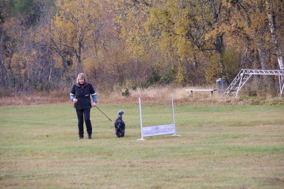 Noen av medlemmene var ute i felten for å utføre grenene i hundecupen.