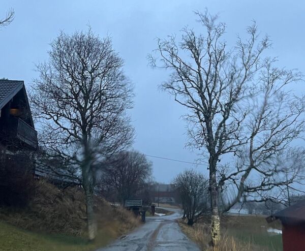 Regntung svartsøndag i distriktet
