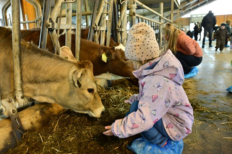 Foto: Synnøve Hanssen