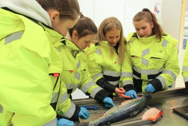 Rekordsøkning gir ny akvaklasse
