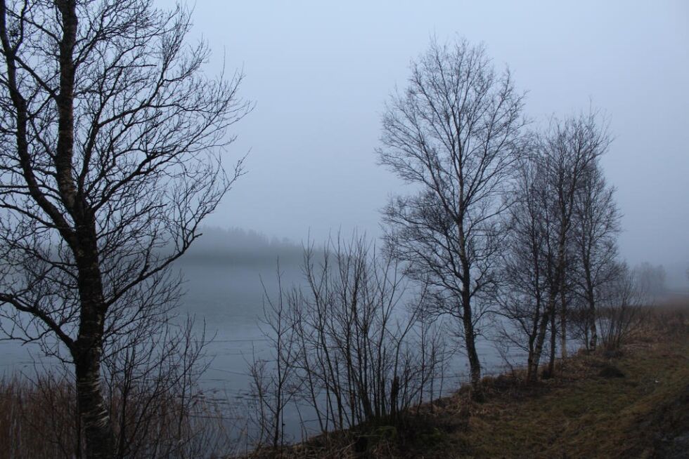 På lørdag var distriktet preget av tåke og regn, men nå blir det værendring.