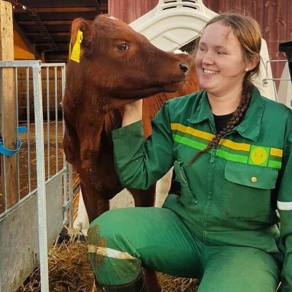 Heidi H er topp ti av 80 000 hunndyr i landet