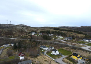 En grevling, høy hastighet og oppholdsvær