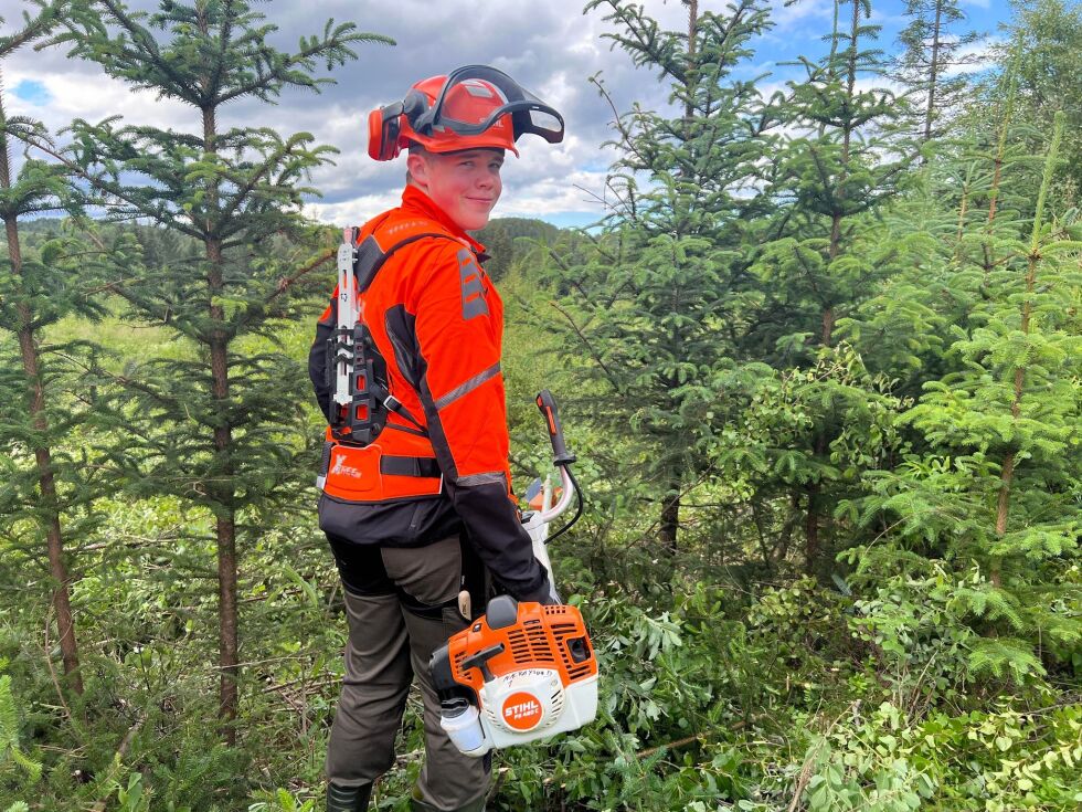 Sindre Jenssen synes det er veldig artig ute i skogen, men kunne tenkt sge en knottfri skog.