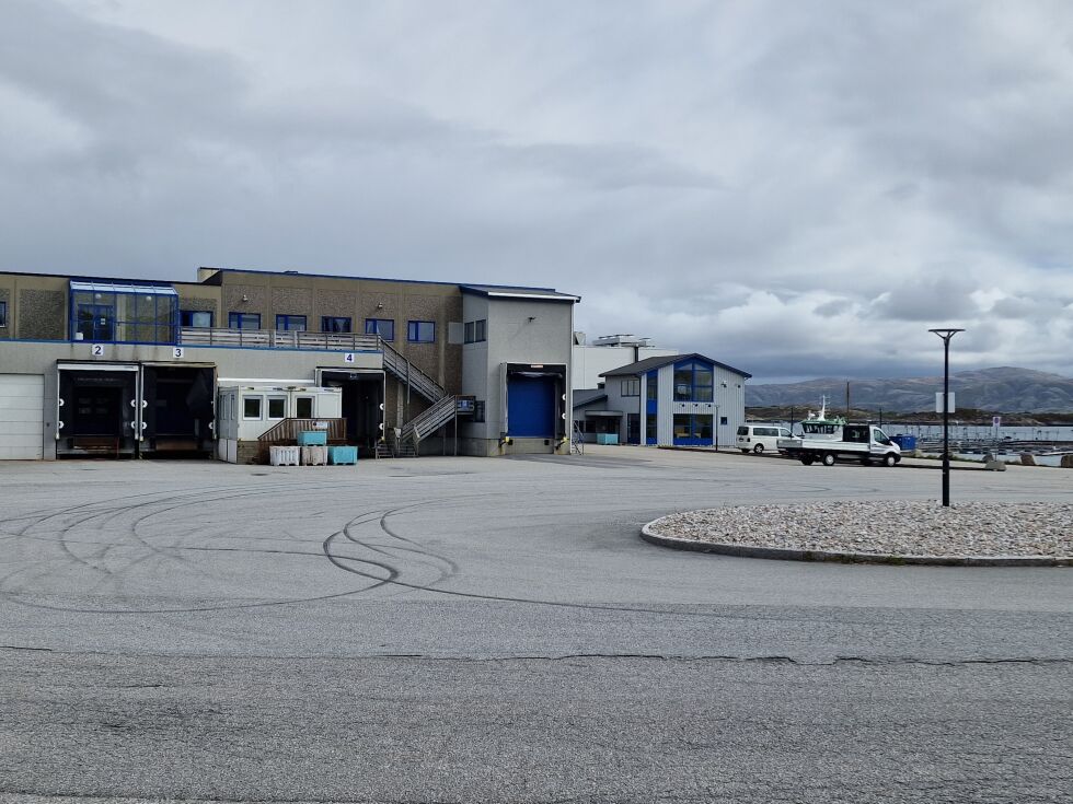 Fabrikken på Flerengstranda er perfekt for det nye selskapet.
 Foto: Frank Jenssen