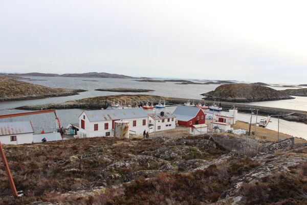 – Har fått inn sjeldent lite fisk