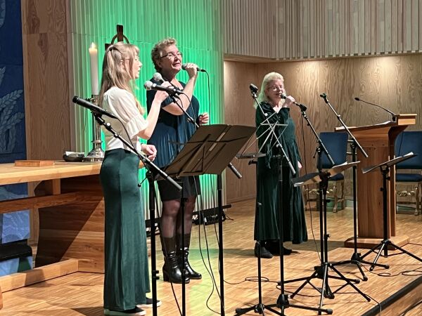 Markerte den irske nasjonaldagen