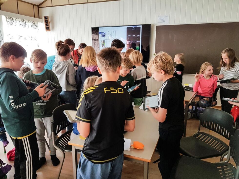 Under opplæringen gjennomførte elevene en spørreundersøkelse for å øve seg. Mellom annet om hvilket dyr som var favoritten.
 Foto: Bindalseidet skole