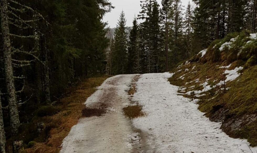 - Det ble umulig å avholde rennet med slik løypeforhold, sier Øren.
 Foto: Svein Oluf Øren