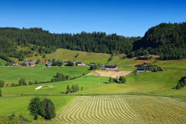Havn, kurs i boplikt og legevaktsamarbeid