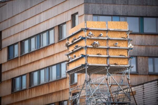 Kommunen vil åpne nytt hotell i Rørvik
