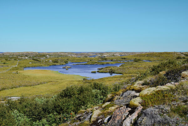 Vil gjøre Borgan og Frelsøy naturreservat til nasjonalpark