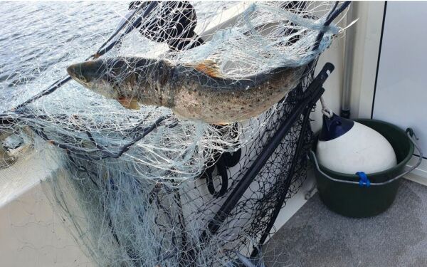 Nå kan du få gebyr for ulovlig fiske