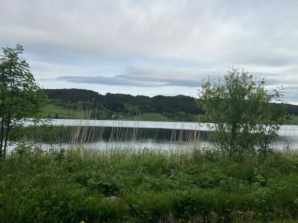 Planlegger å undersøke forurensing i Horvereidvatnet