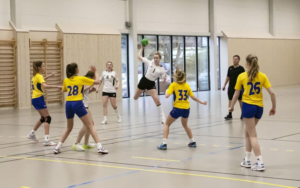 Sissel Sørhøy ser fram til høsten når det forhåpentligvis åpnes opp for handballkamper igjen.
 Arkivfoto