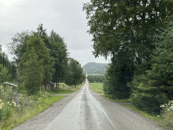 Grått vær, men nå ser det lysere ut for de som skal fly med SAS