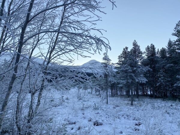 19. januar: Finværet fortsetter, men nå kommer vinden